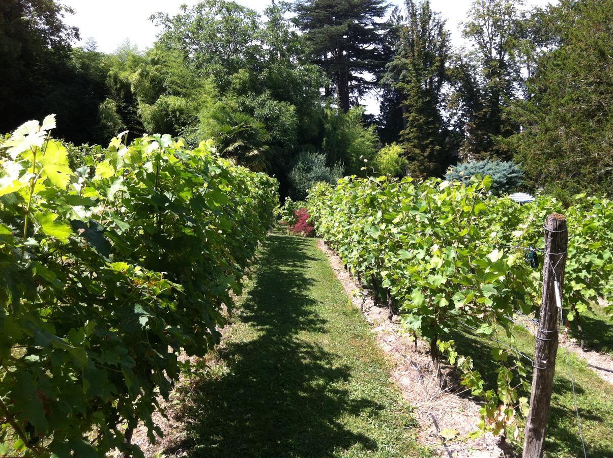 סומור Chateau De Beaulieu מראה חיצוני תמונה